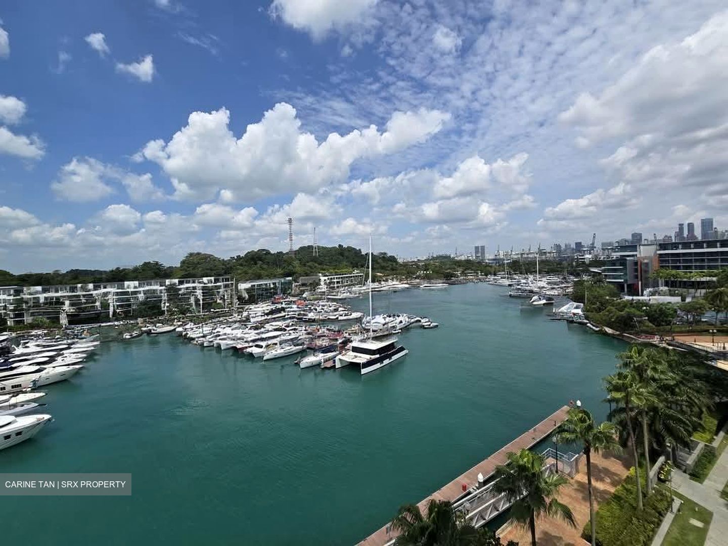 The Oceanfront @ Sentosa Cove (D4), Condominium #541853801
